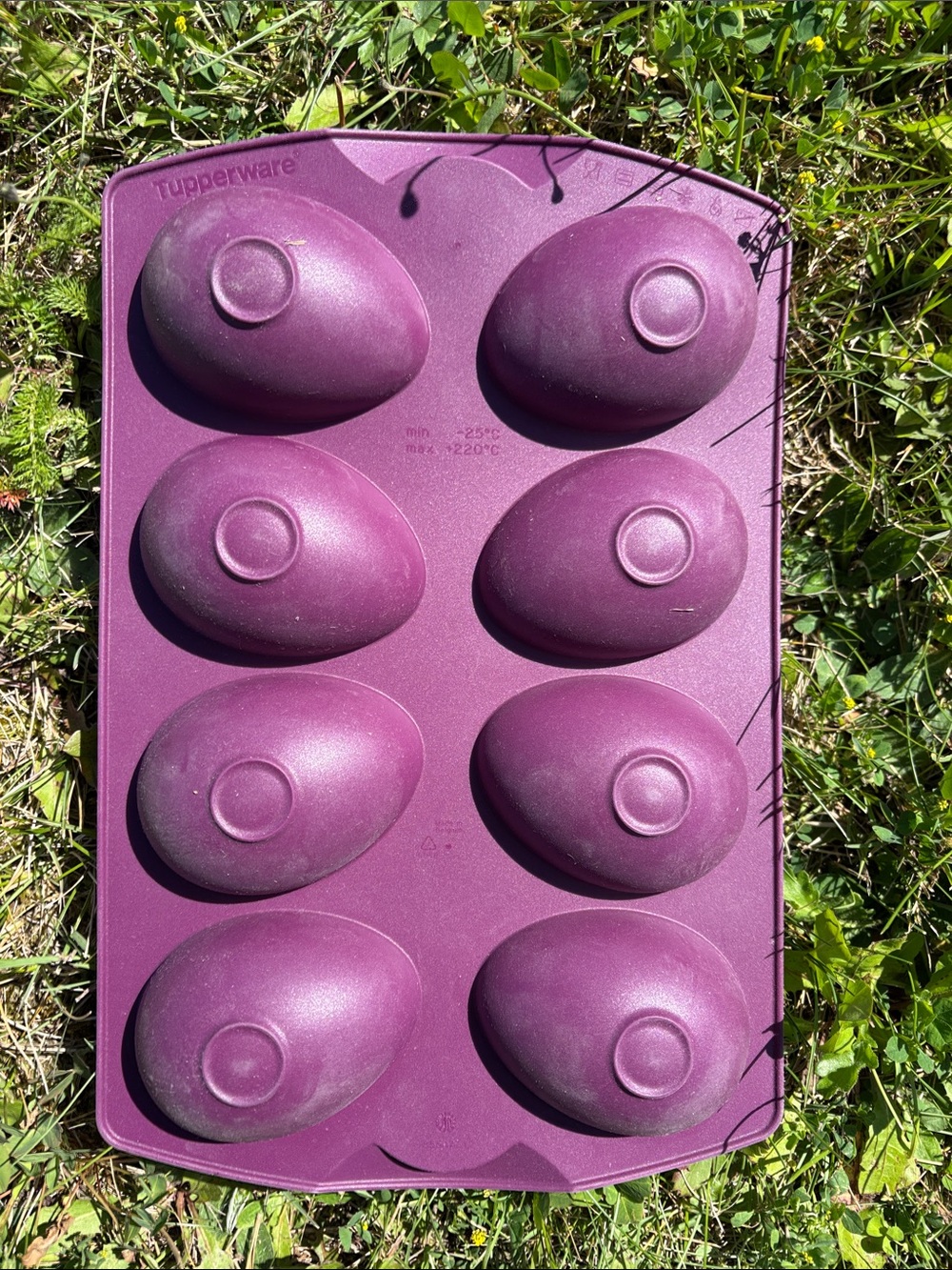 Tupperware egg - Picture 2 of 3